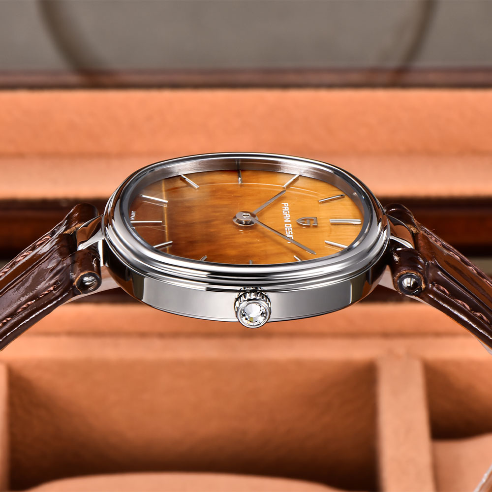 PAGANI DESIGN 2026 New Quartz  - Women'S Fashion Quartz Watch 评论和价格