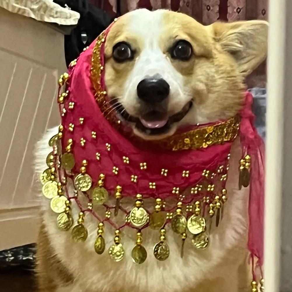 Dog Booty Shake Dance Booty To - Printed Wrap Skirt 评论和价格
