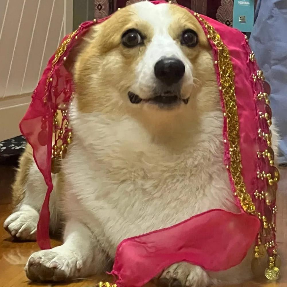 Dog Booty Shake Dance Booty To - Printed Wrap Skirt 评论和价格